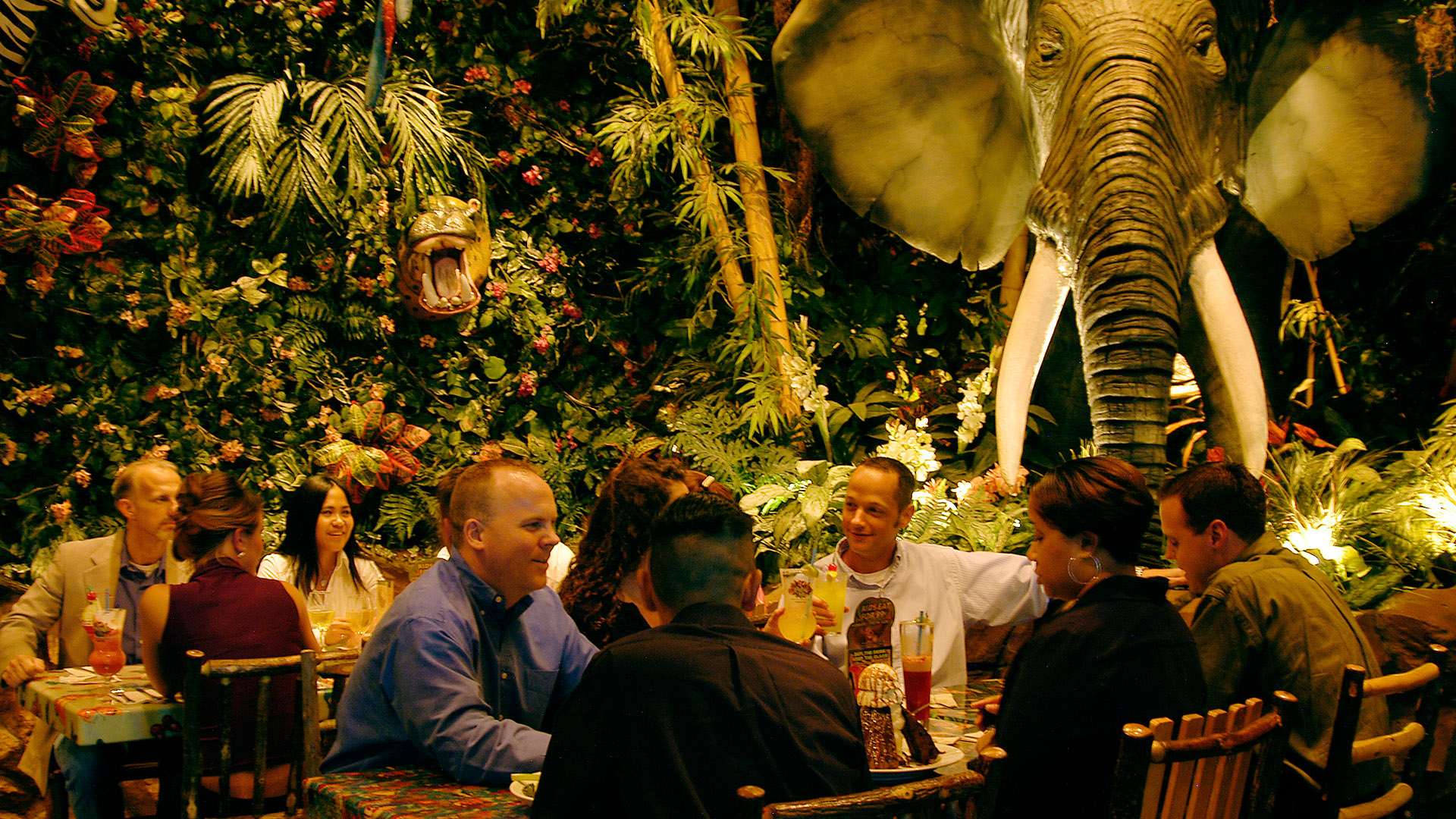 Rainforest Cafe